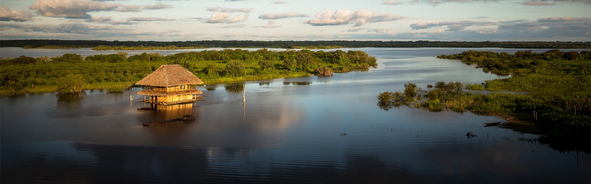 Ceiba Tops (Iquitos Amazon Jungle Lodge)