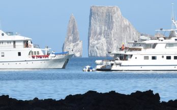 M/Y Coral I and Coral II