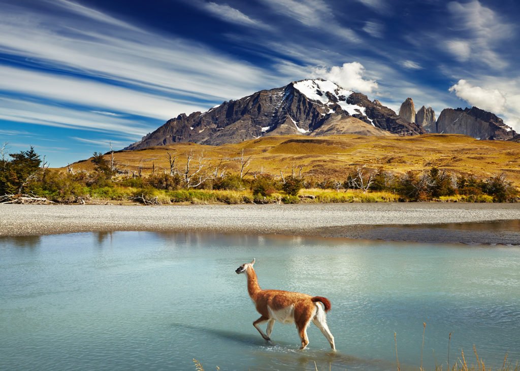 Beauty of Patagonia