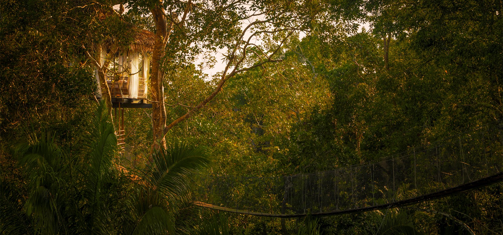 Treehouse Lodge