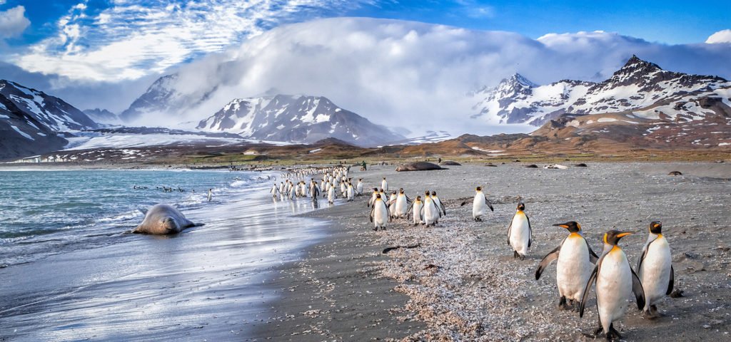 Visit Falkland Islands