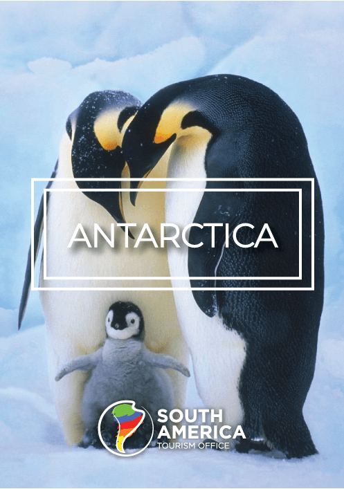 Antarctica Posters