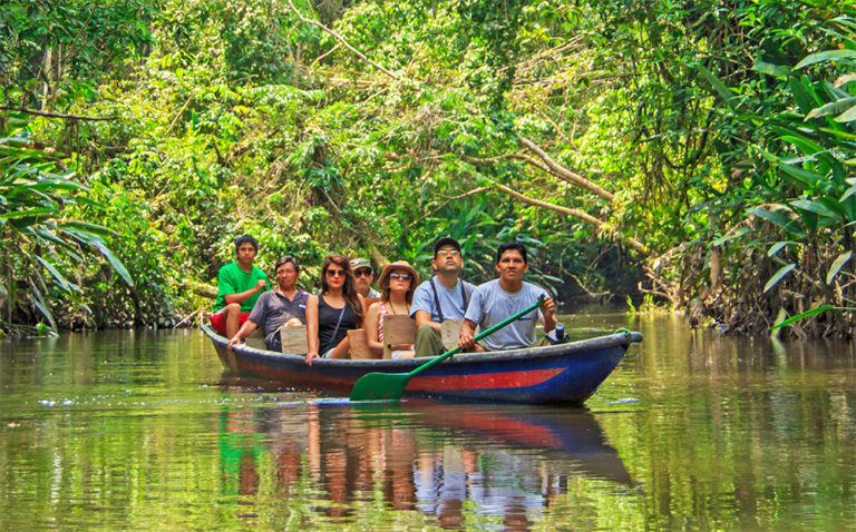 south america amazon tours