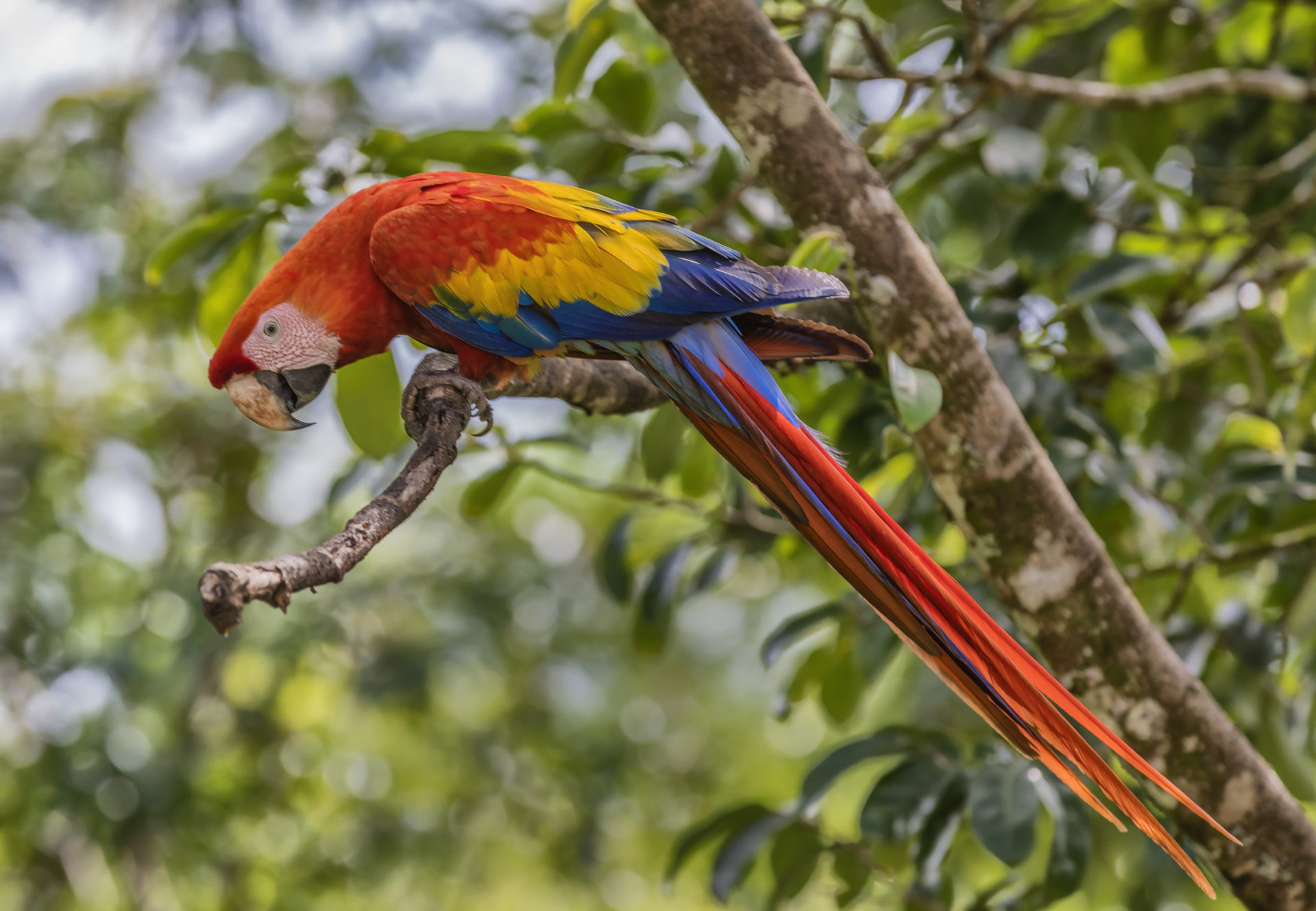 7 Ways to Experience Ecotourism in Costa Rica | South America Tourism ...