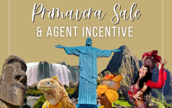 Primavera Agents Incentive