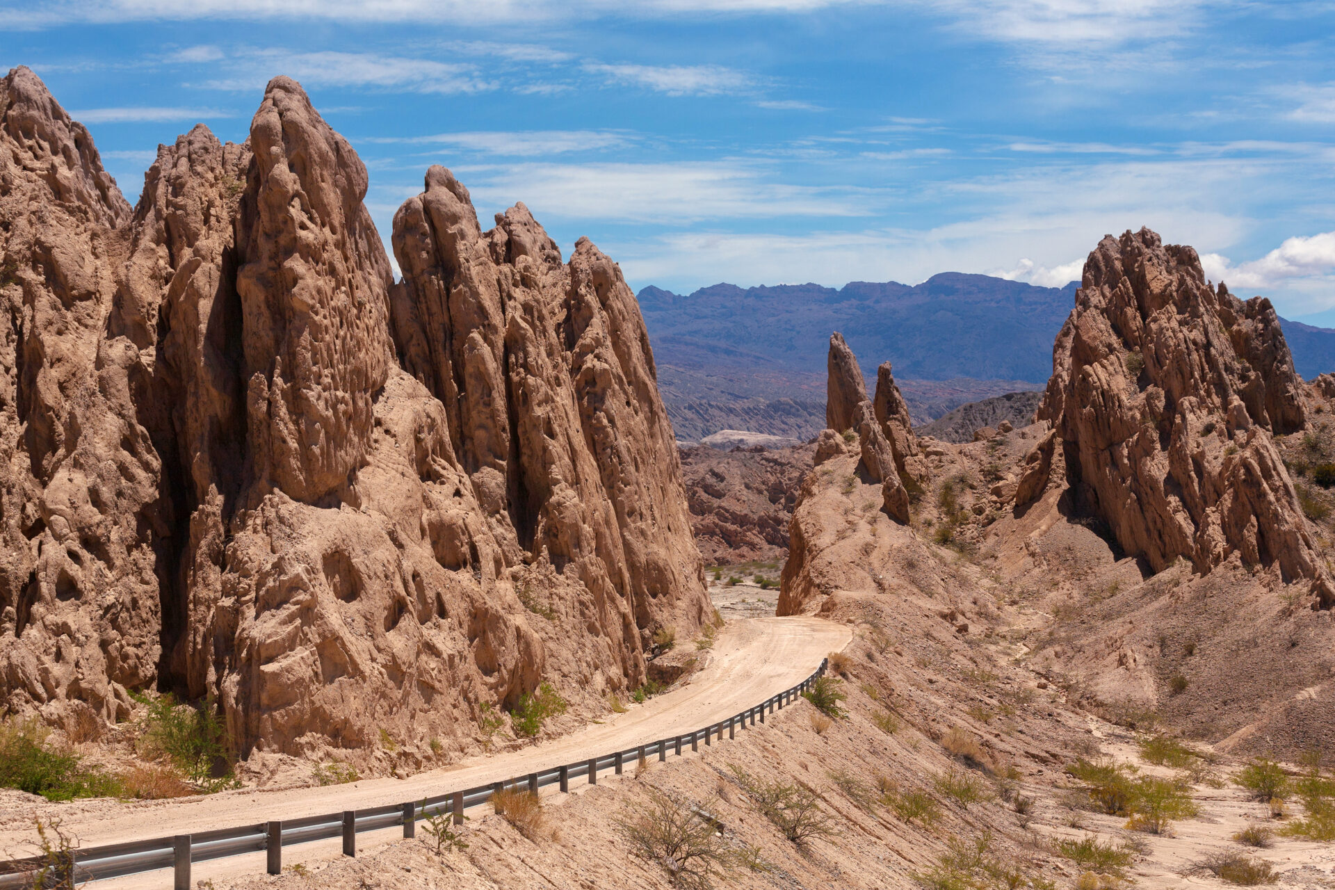 Altiplanic Deserts
