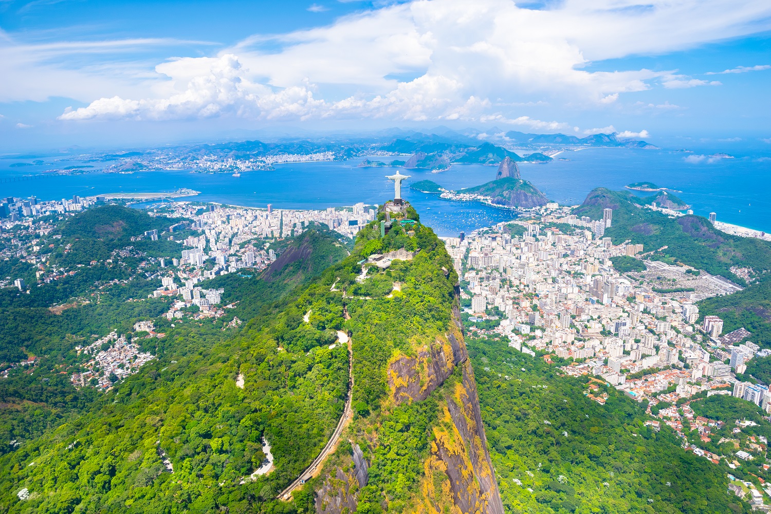 South American Delights